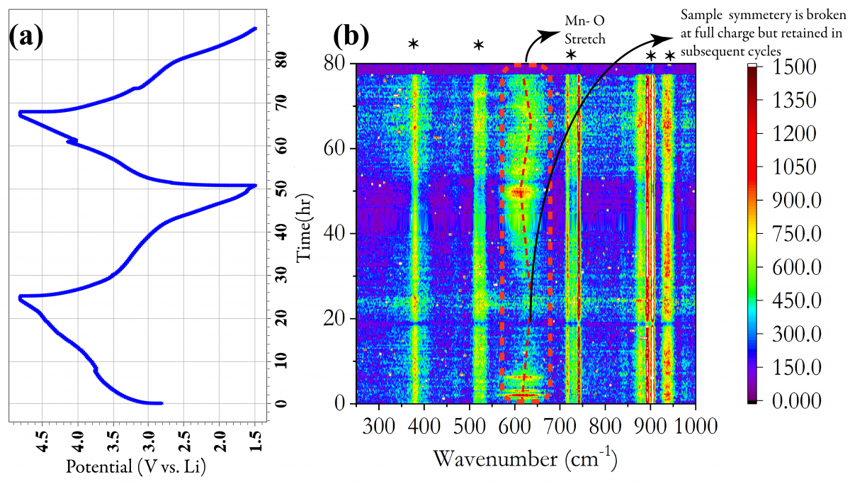 Operando Raman spectroscopy of disordered rocksalt cathode