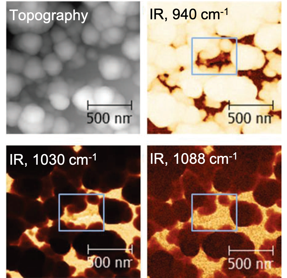 AFM and infrared near-field images of SEI on HOPG