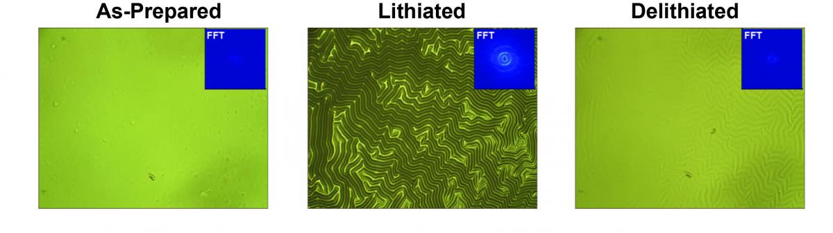 Light microscopy of SEI buckling